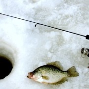 Options For Building A Custom Ice Fishing Rod