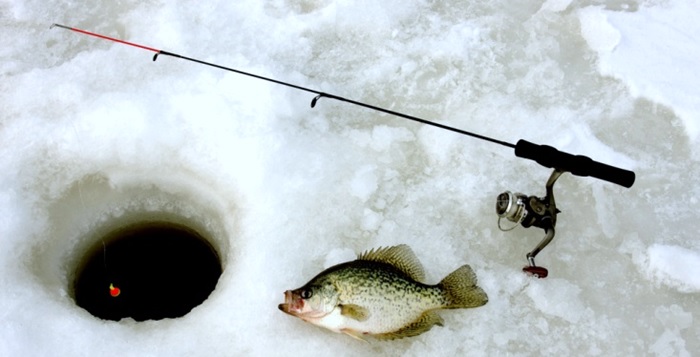 Options For Building A Custom Ice Fishing Rod